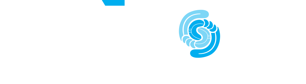 ngākopa-white-dual-tone-colour